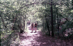Students walking on path in woods at East Campus