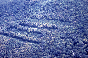 Aerial oblique middle-distance view to the northeast of the Birch Strips in Moon Hollow on 2 Sept 1971.