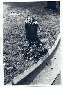 Trashcan in Boston Common