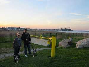 Walking the dogs at Deer Island
