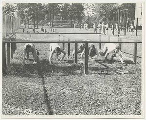 Military training during World War II (ca. 1943)