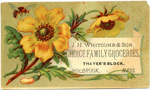 J. H. Witcomb & Son, choice family groceries