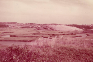 Poor's Hill and marsh, 1956