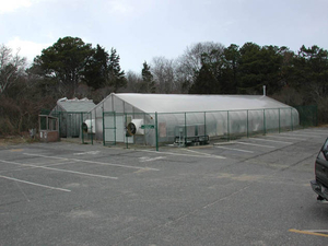 Aquaculture hatchery facility