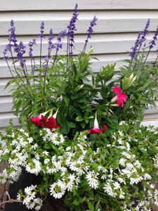 Flower barrels