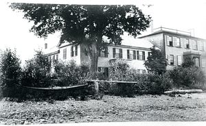 Rear of two houses on Union Street, Dorchester