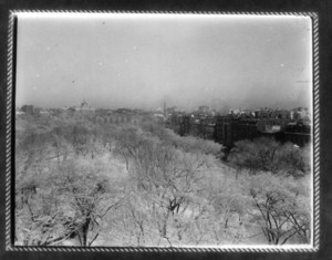 View of Boston Common, Boston, Mass., undated