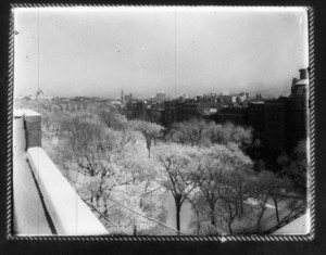 View from roof with trees in foreground and State House in the distance