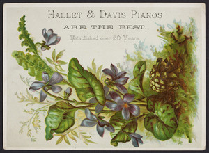 Trade card for Hallet & Davis Pianos, Washington Street, Boston, Mass., undated