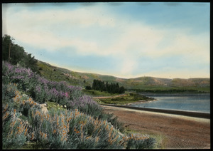 Mono Lake, California (road along lake and wildflower covered hills)