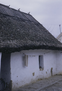 Peasant dwelling, Subotica