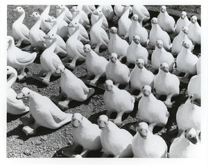 Casts of many ducks