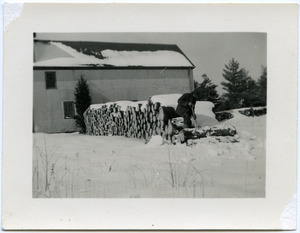 Duxbury Cranberry Company screen house on Franklin Street, Duxbury, Mass.: view in winter with firewood and snow