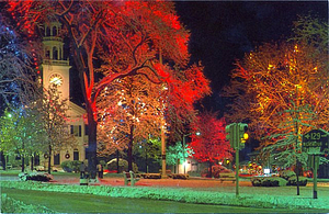 Christmas on the common by the people of Reading 1988