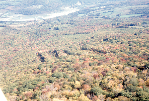 Aerial oblique view down U.S.F.S. Birch Strips field experiment on 14 October 1971 in the Hopkins Forest.