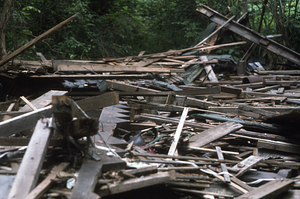 Moon House deconstructed with demolition waste on ground floor in Moon Lot - Primmer Farm. Haymow on north side of barn.