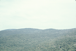 Aerial oblique view northnorthwest along South Branch Birch Brook to Taconic Ridge on 2 Sept 1971.