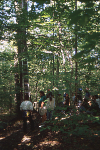 Hopkins Forest Fall Festival, 1999. 12. Kids at canopy walkway ladder.