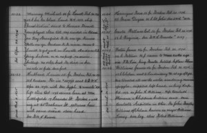 Tewksbury Almshouse Intake Record: Maroney, Michael