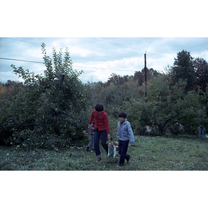 A woman carries a bag of apples through an orchard with a young boy