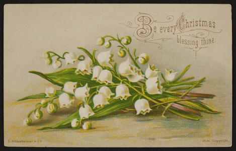 Trade card for Currier & Kendall, clothiers, Milford, Mass., undated