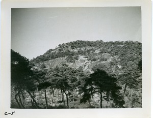 Hillside seen from below