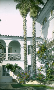 Courtyard of a white stucco residence with palm trees