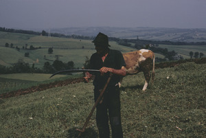 Scythe sharpening