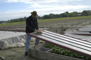 Lazy Acres Farm (Zuchowski Farm): Allan Zuchowski checking cold frames