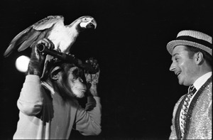 Chimpanzee vaudeville act opening for the Grateful Dead at Sargent Gym, Boston University: performer with pork-pie hat and chimpanzee holding a parrot