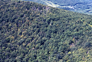 Aerial color image of east side of Taconic Crest at White Rocks. False Color Infrared/True Color Project.