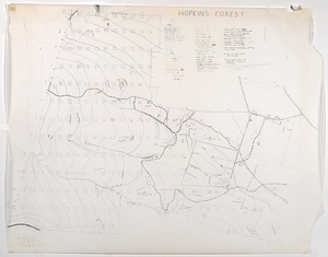 Hopkins Forest land features map