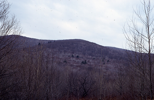 View of the Taconic Range from the eastern entrance of Moon Lot.