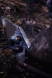 Installation of blade on South Branch Birch Brook v-notch weir. #8.