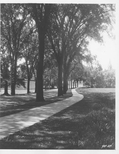Campus Views, Roads and Walks 1920-1989