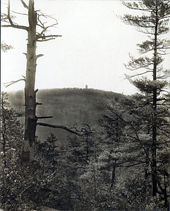 Burrill Hill Tower from Bow Ridge, Lynn Woods