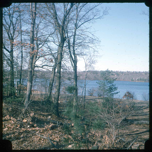 Walden Pond, 1975