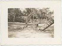 Damage from 1938 Hurricane