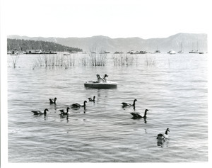 Girls in raft with geese