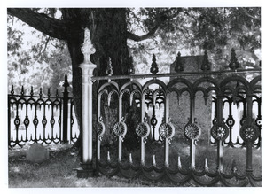 Iron fence with mirror light