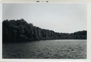 Mann's Pond along the Massapoag Trail (into left)