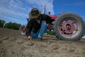 Lazy Acres Farm (Zuchowski Farm): Allan Zuchowski inspecting the soil in a corn field