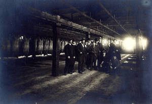 Visit to Brightwood Slaughter House, March 1899