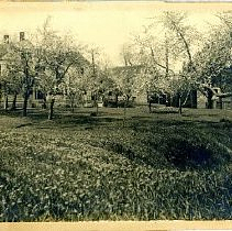 Theodore Schwamb House, orchard, garden