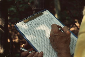 Henry W. Art tallying tree census in Permanent Plot 1121.