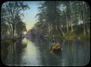 Canoe paddlers on canal along forest