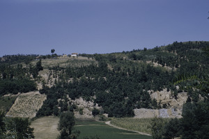 Countryside at Jarmenovci