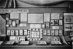 State Tricentenary 1930