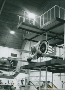 Springfield College Swimmer doing a dive