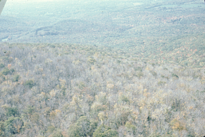 Aerial oblique view S Branch Birch Brook on 14 October 1971. Saddled Prominant caterpillar defoliation seen on Taconic Ridge.